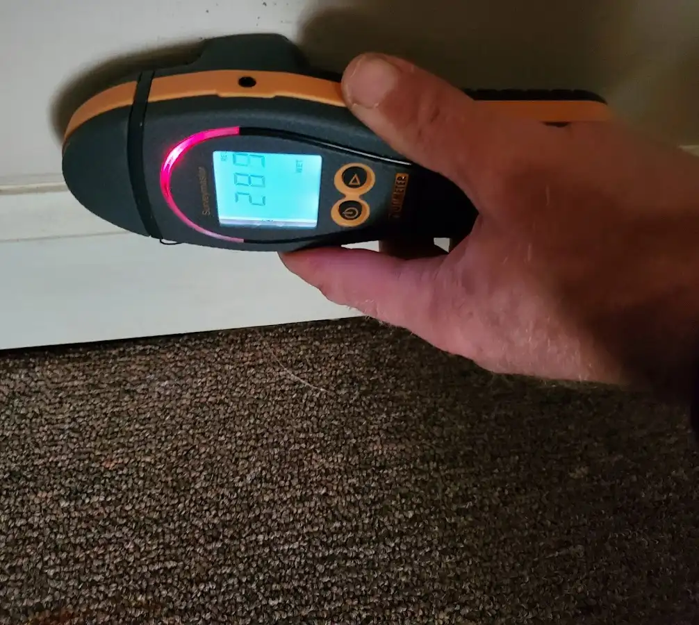Moisture detection at baseboard during Burst Pipe Cleanup in Romeoville